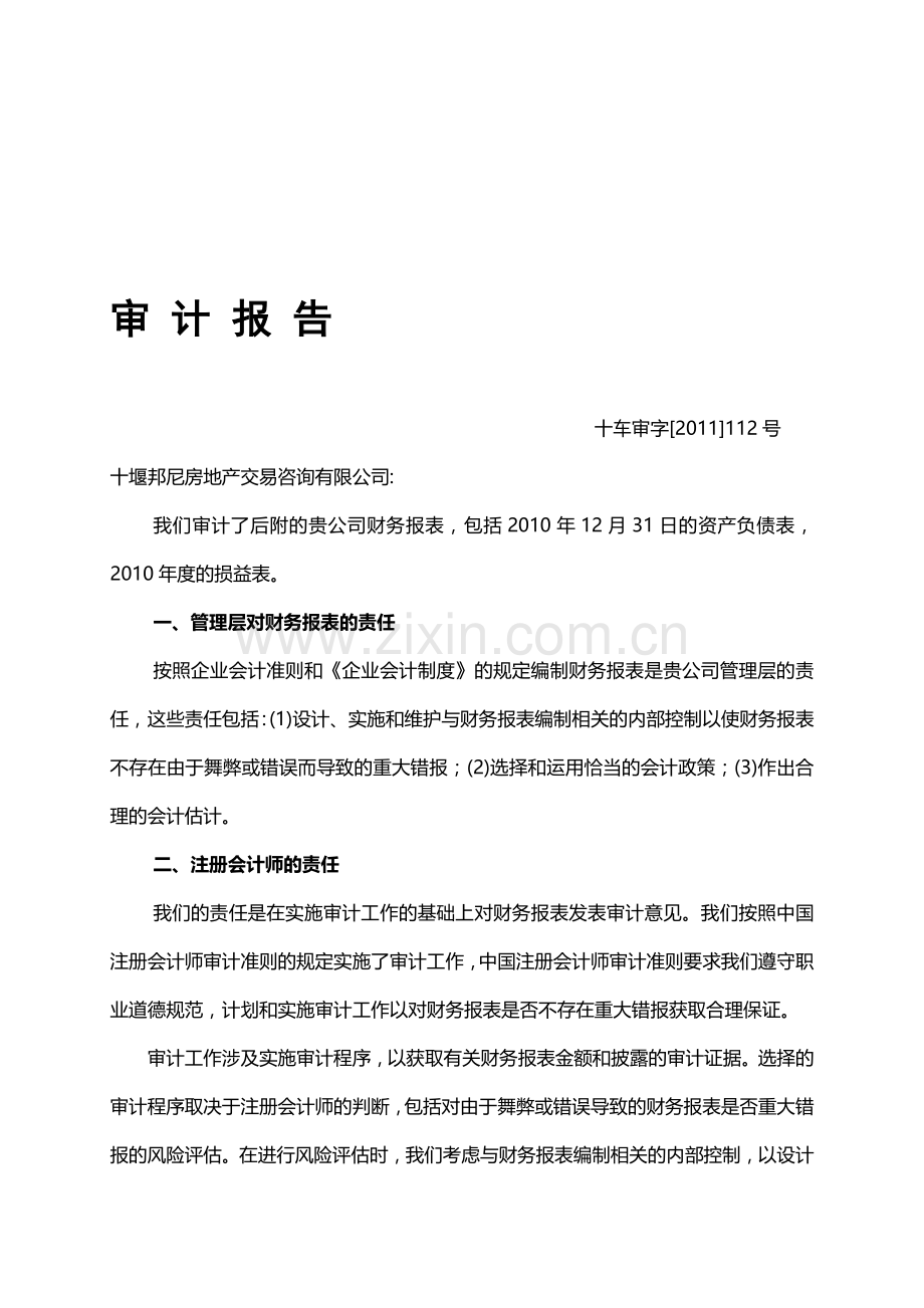 审计报告案例分析.doc_第1页