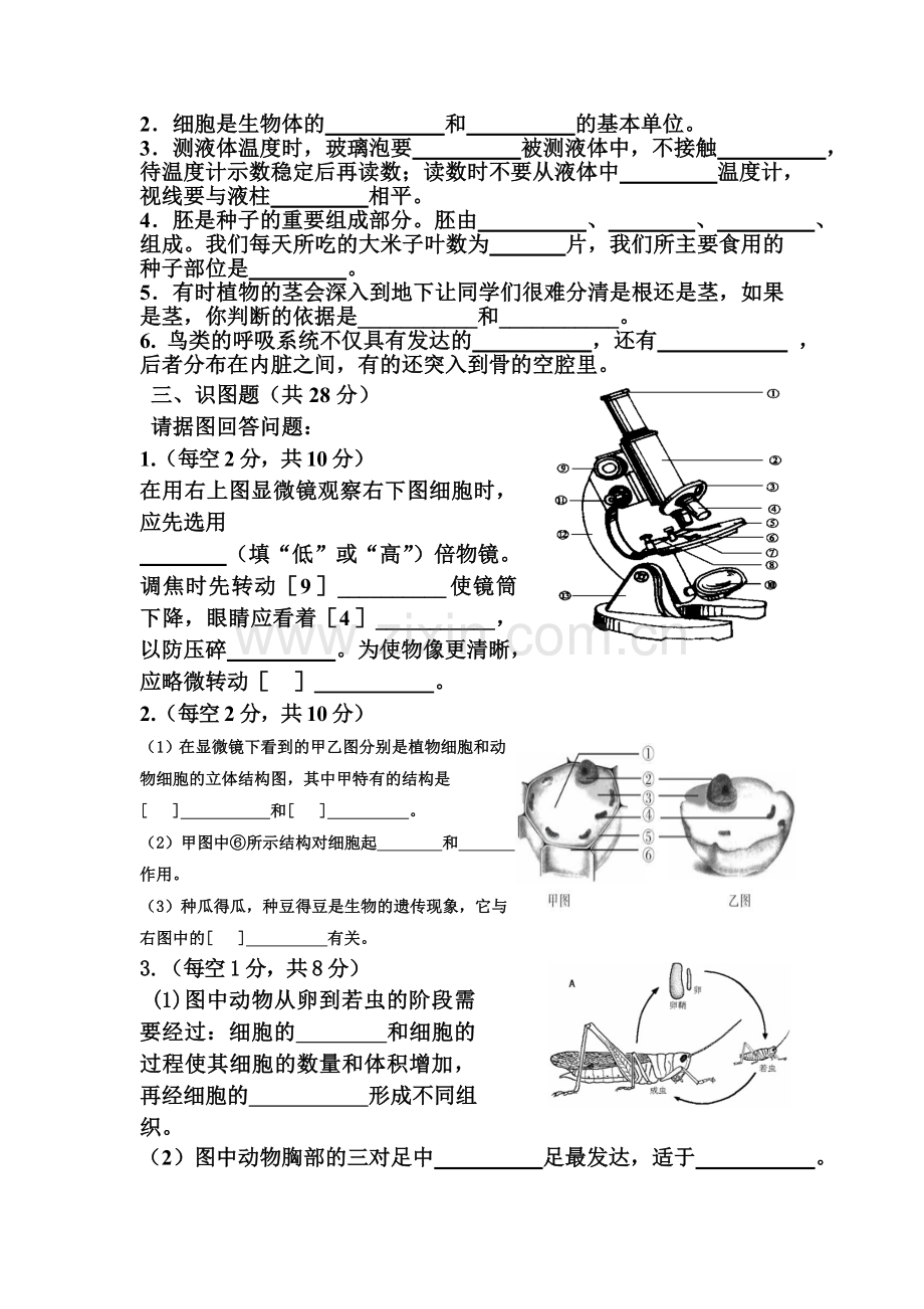 重庆市九龙坡区2015-2016学年七年级生物上册期末考试题.doc_第3页