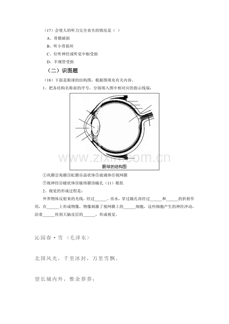 感受器和感觉器官练习题1.doc_第3页