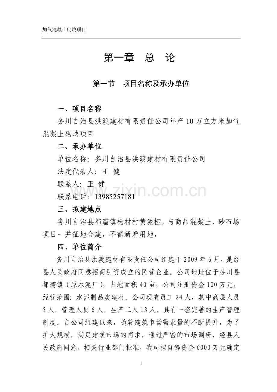 加气混凝土可行性报告.doc_第1页