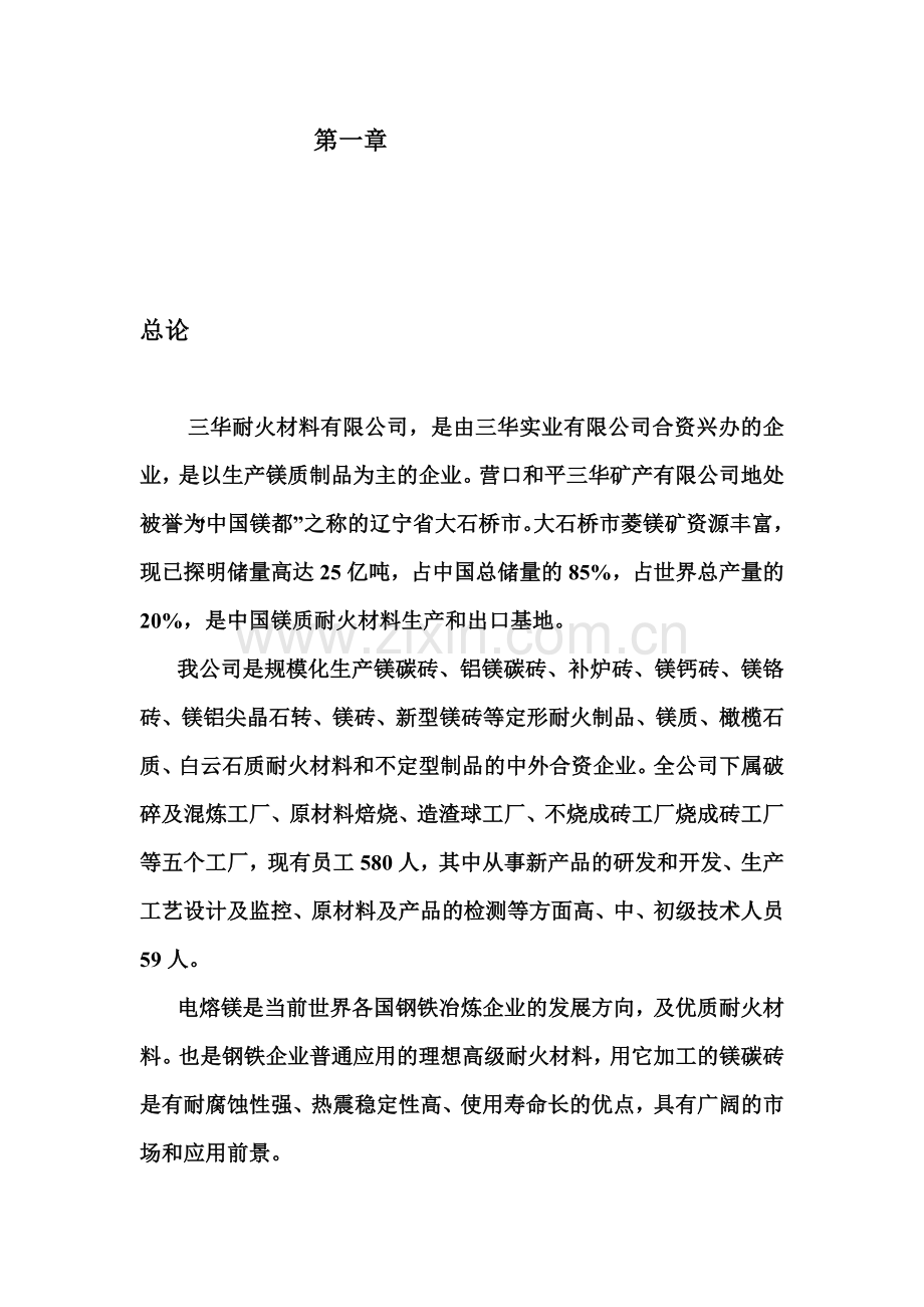 年产六万吨电熔镁生产线可研报告.doc_第1页