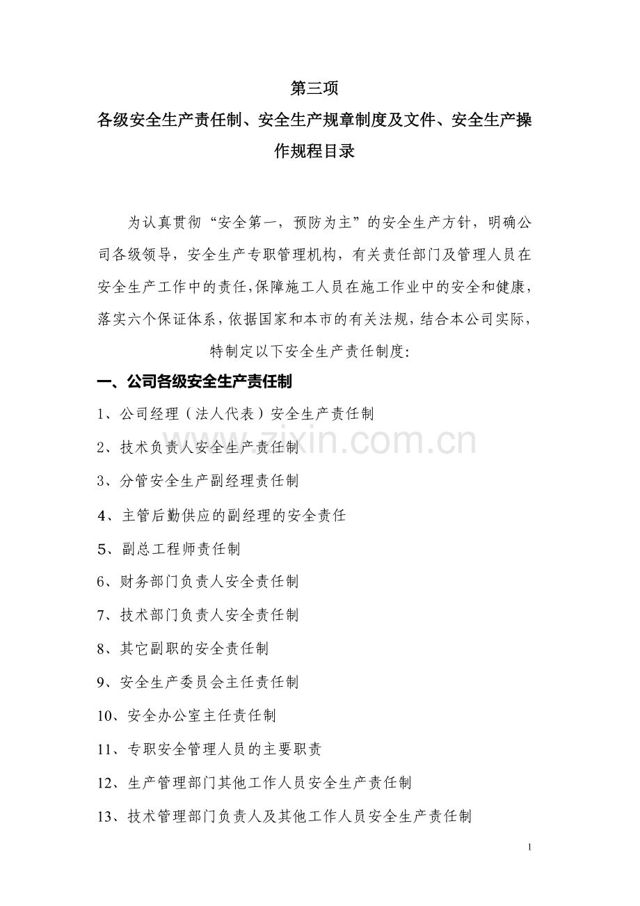 公司各级安全生产责任制、安全生产规章制度及文件、安全生产操作规程目录.doc_第1页