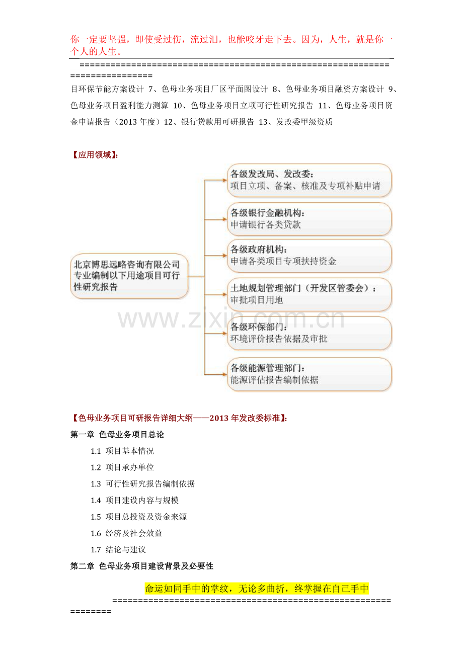 如何设计色母业务项目可行性研究报告(技术工艺-设备选型-财务概算-厂区规划)方案.docx_第3页