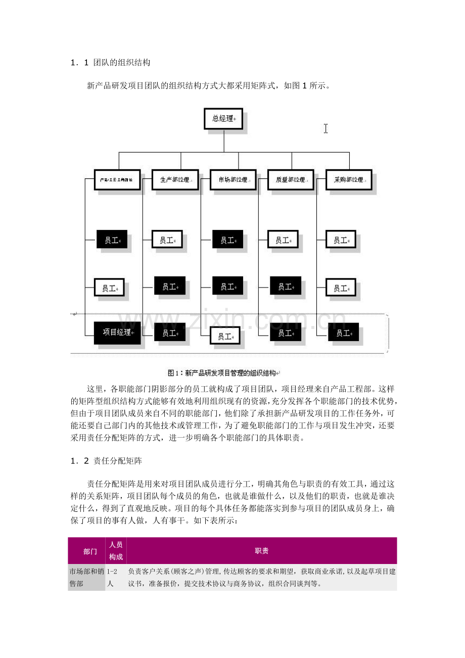 团队合作与流程优化——新产品研发项目的成功之路.doc_第2页