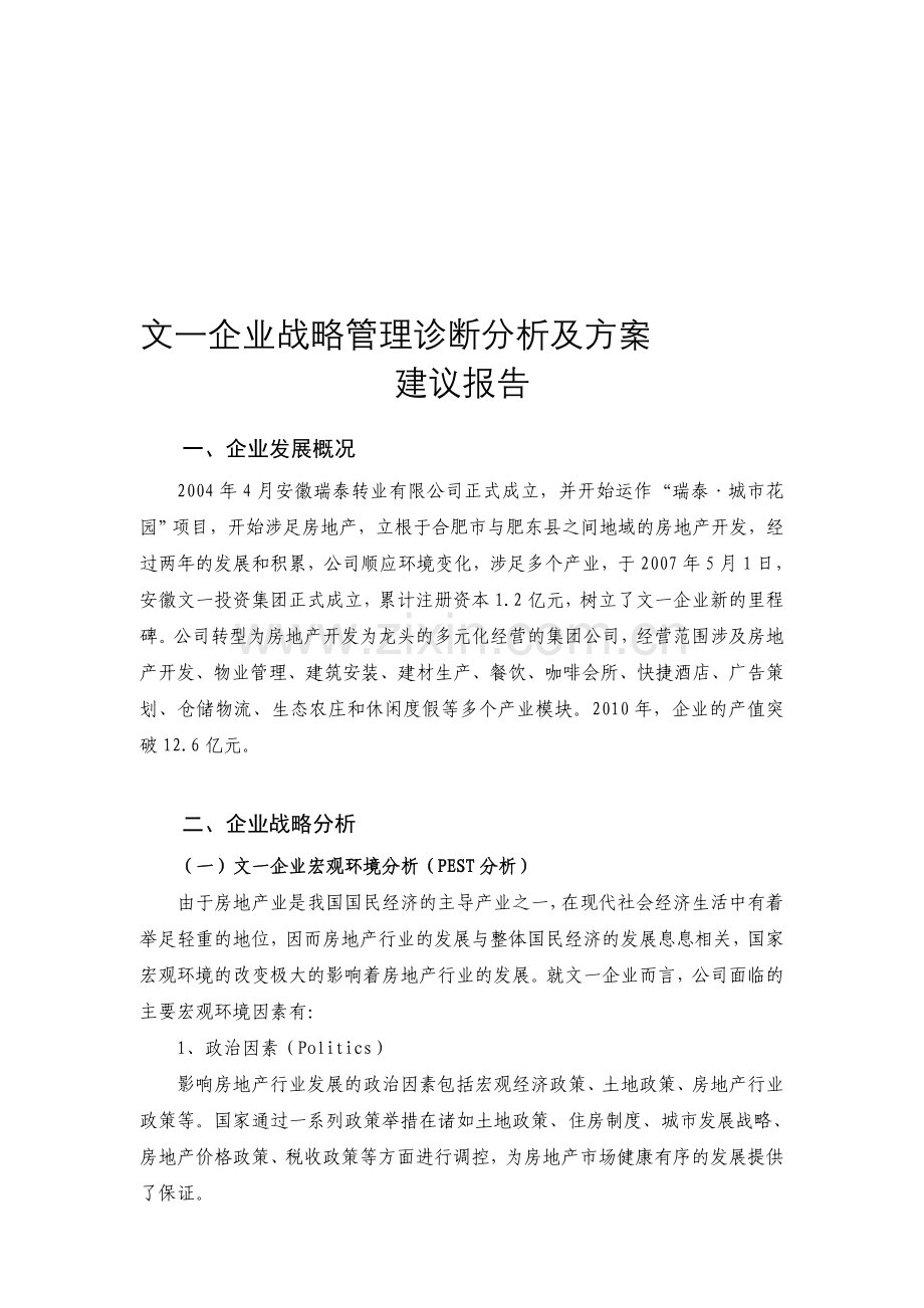 战略管理诊断分析报告.doc_第1页