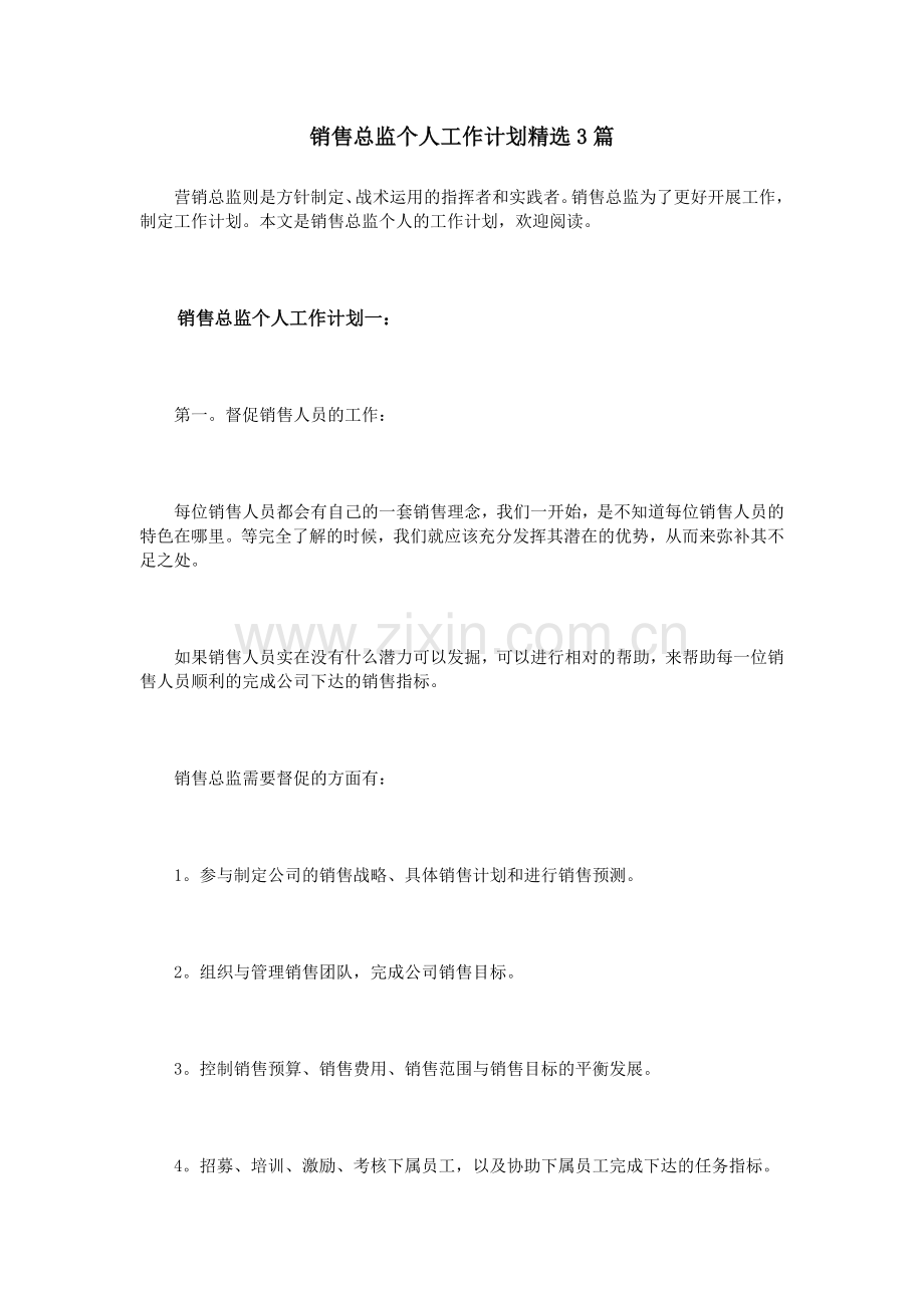 销售总监个人工作计划精选3篇.doc_第1页