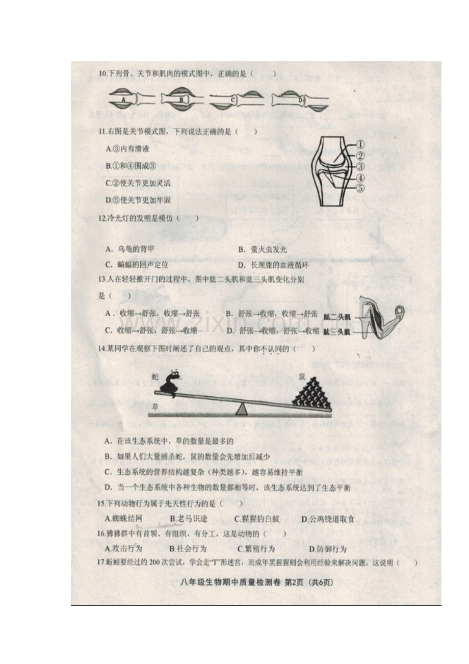 2017-2018学年八年级生物上册期中检测试卷4.doc_第2页