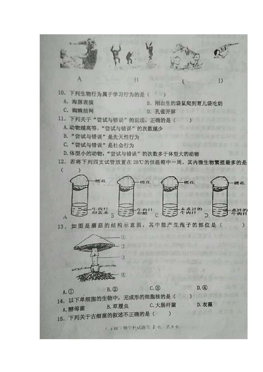 2017-2018学年八年级生物上学期期末考试题11.doc_第2页