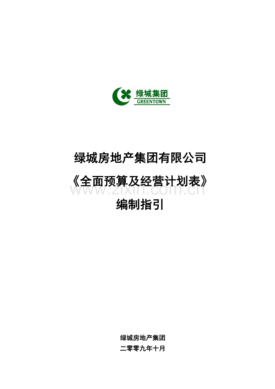 63：2010年度全面预算及经营计划表编制指引.doc_第1页