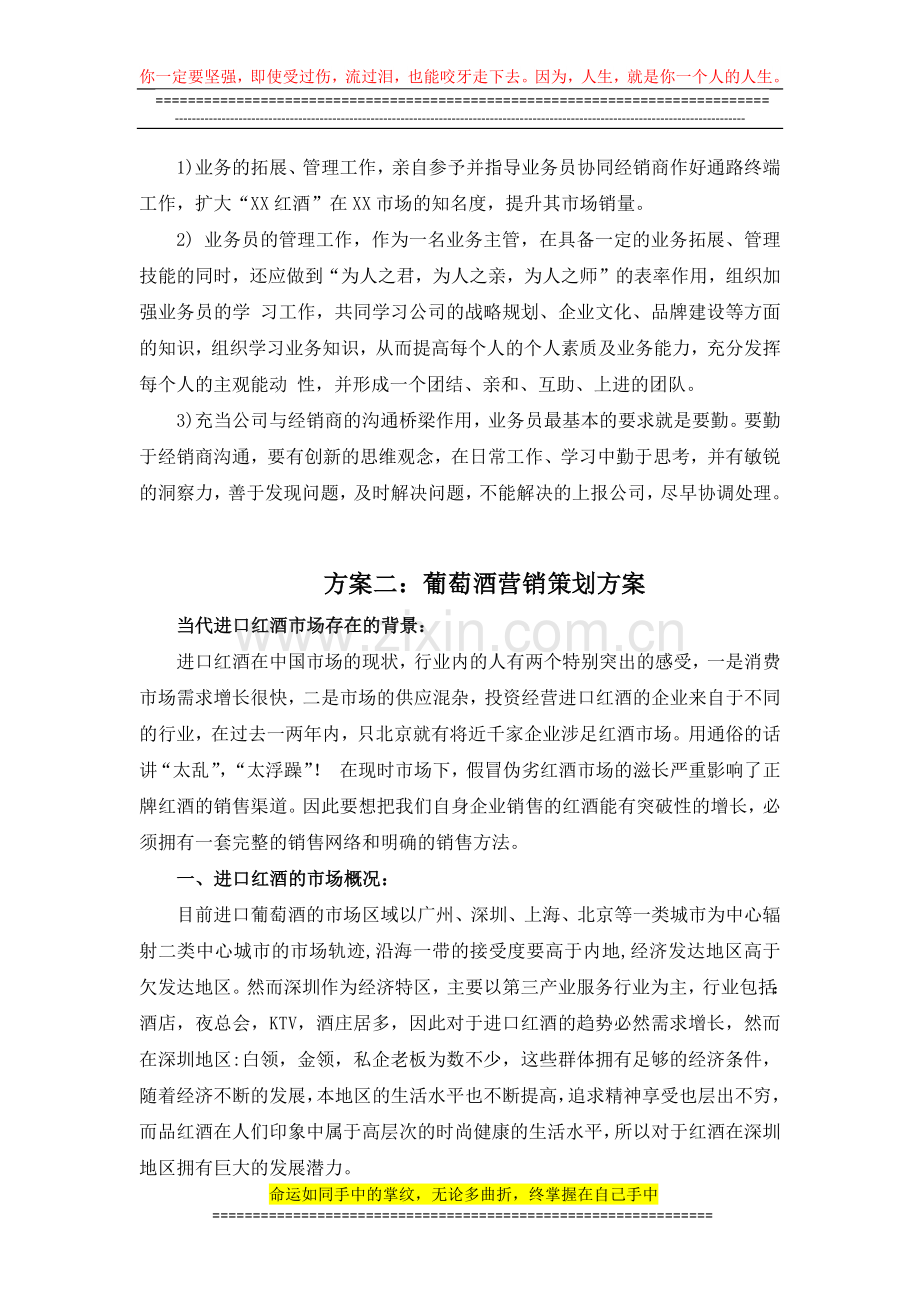 葡萄酒营销策划方案.docx_第3页