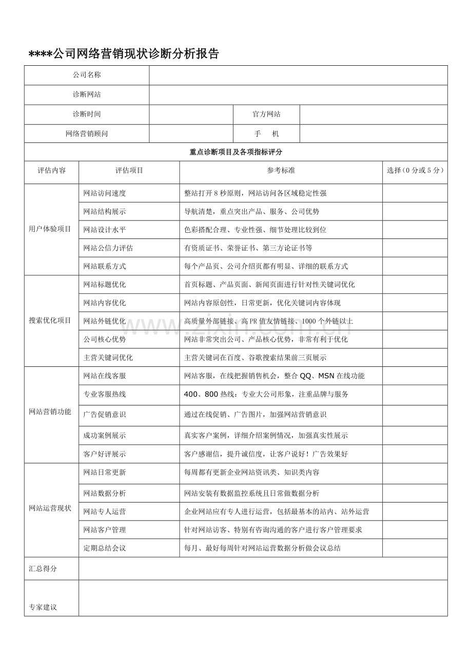 公司网络营销诊断与分析报告.doc_第1页