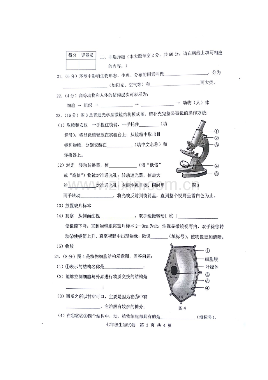 2017-2018学年七年级生物上学期期中检测试卷28.doc_第3页