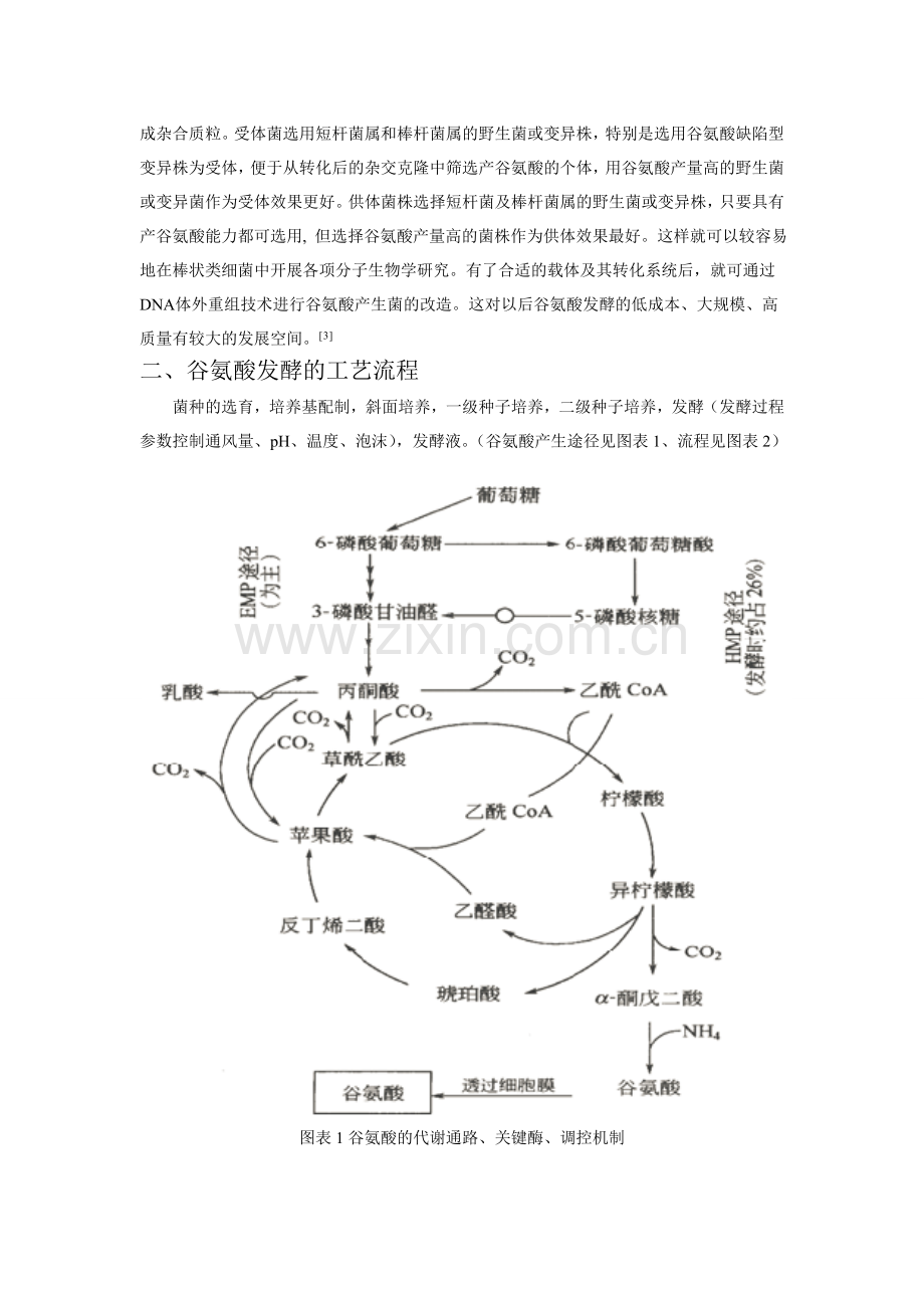 谷氨酸发酵工艺流程1.doc_第3页