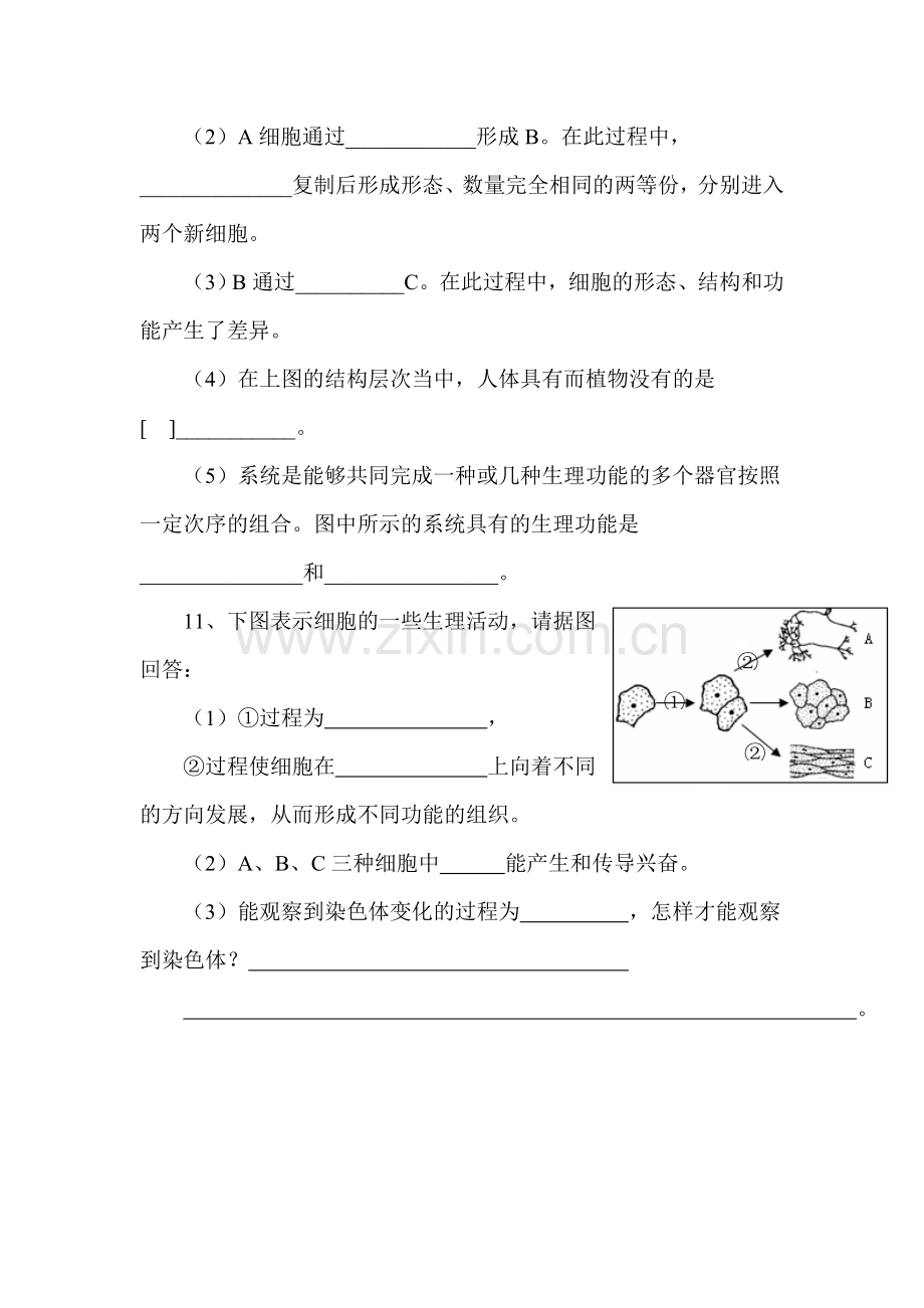 七年级生物下学期课时课堂训练1.doc_第3页