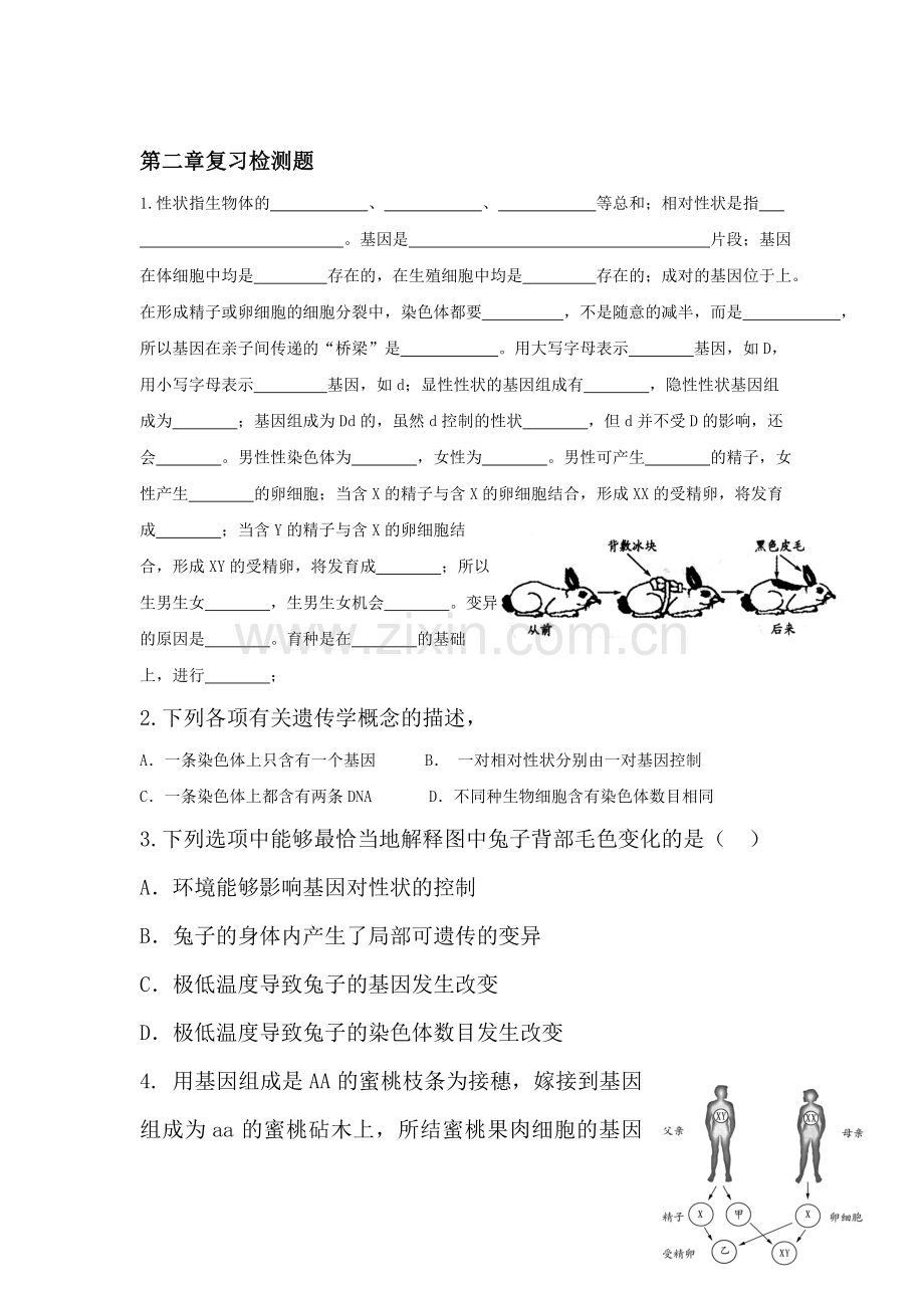 八年级生物生物的遗传和变异复习考试题.doc_第1页