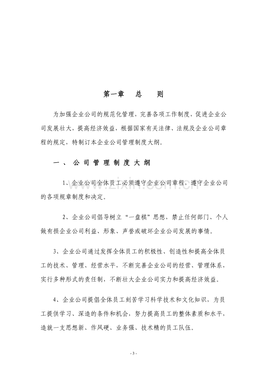 新公司管理制度大全.doc_第3页