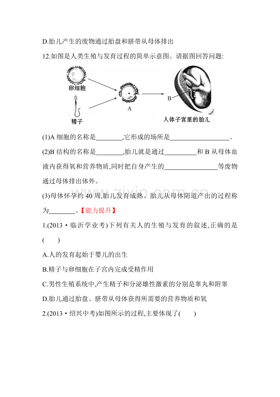 八年级生物上学期达标检测训练题11.doc_第3页