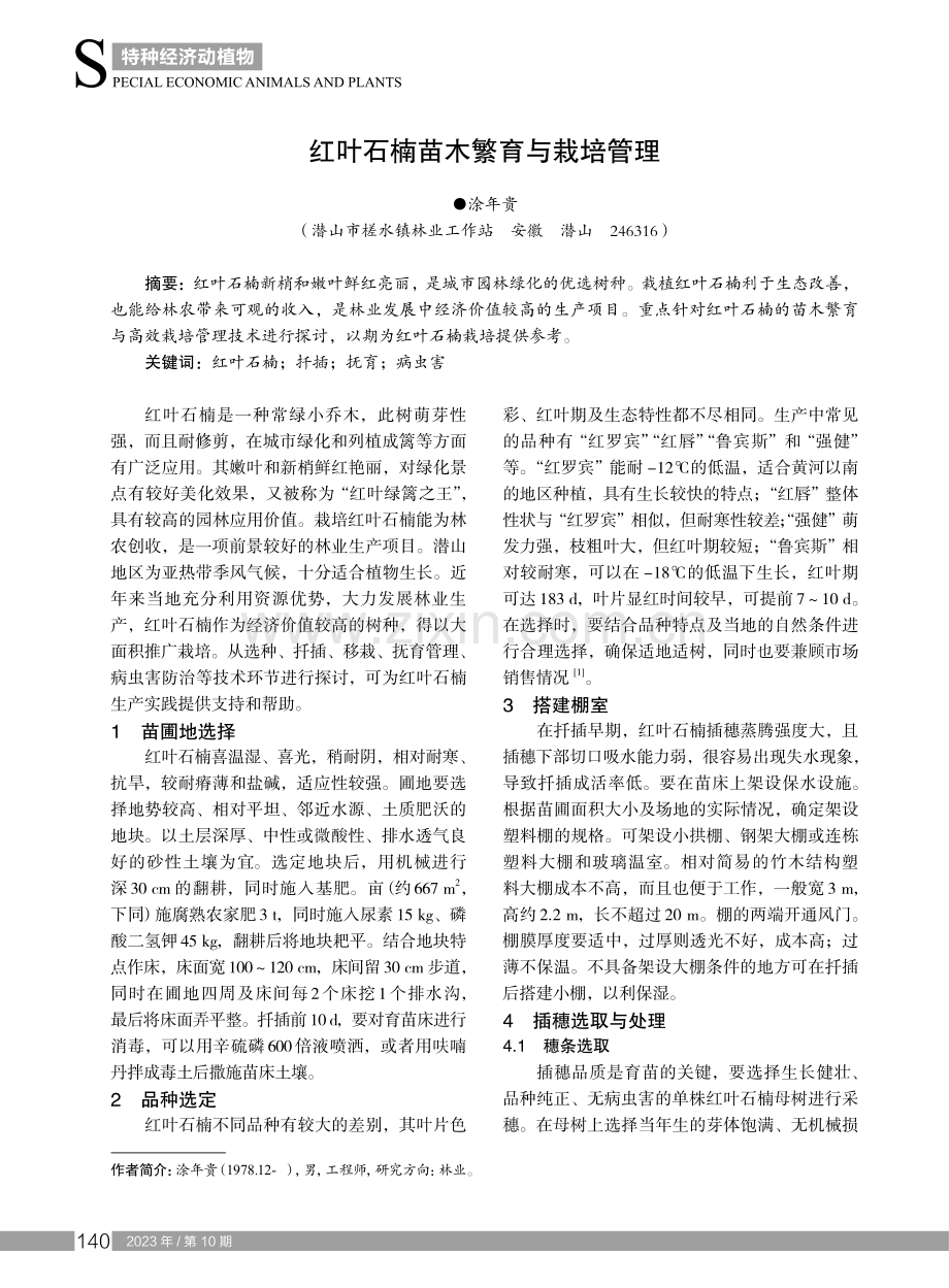 红叶石楠苗木繁育与栽培管理.pdf_第1页