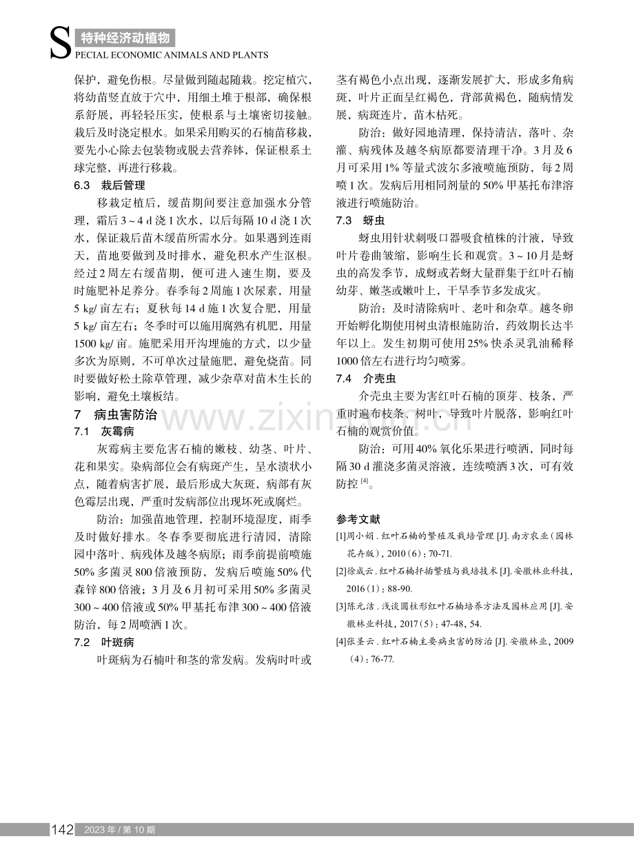 红叶石楠苗木繁育与栽培管理.pdf_第3页