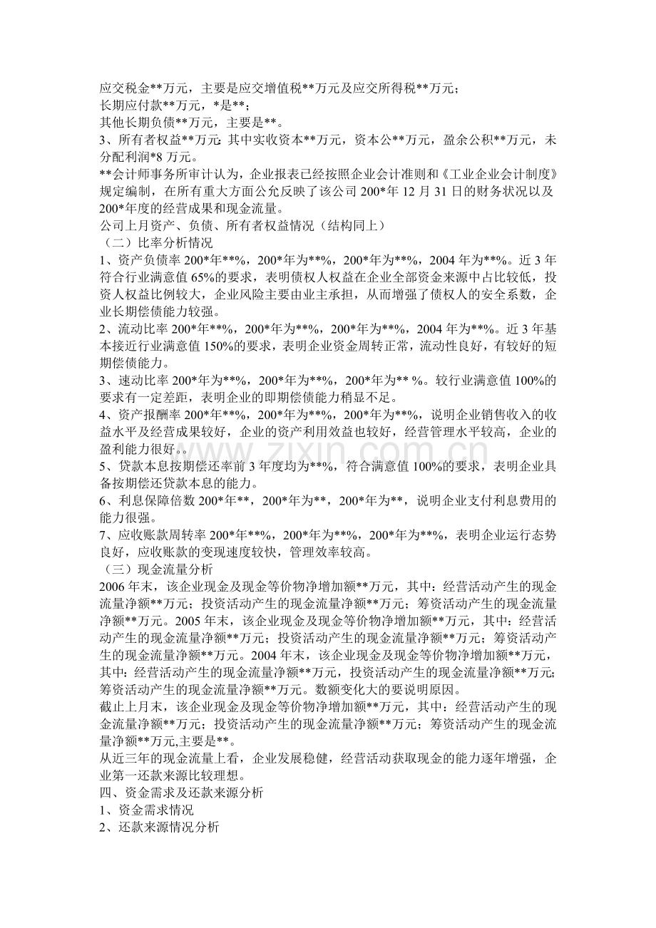 公司类贷款调查报告.doc_第2页