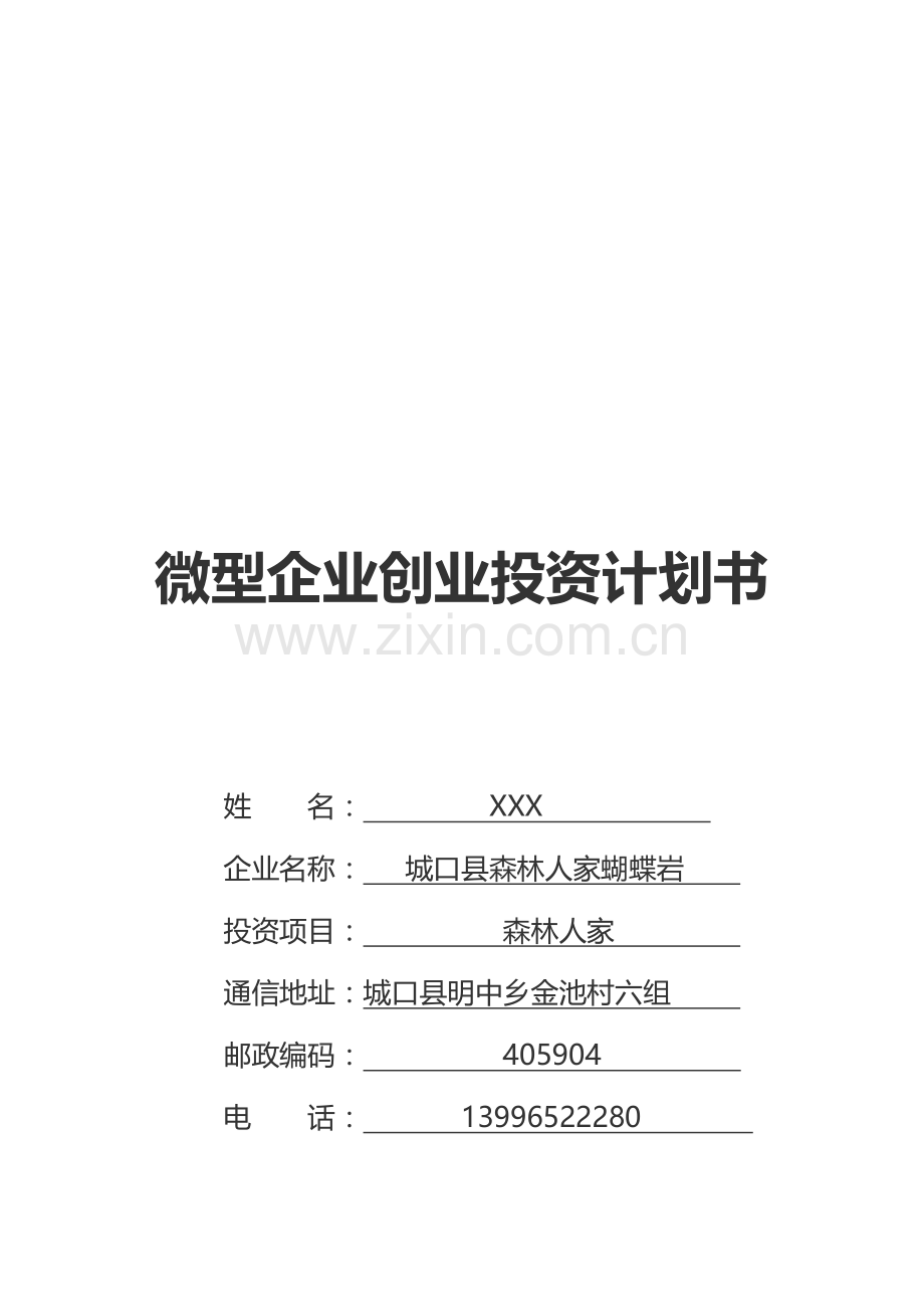 微型企业创业投资计划书模版.doc_第1页