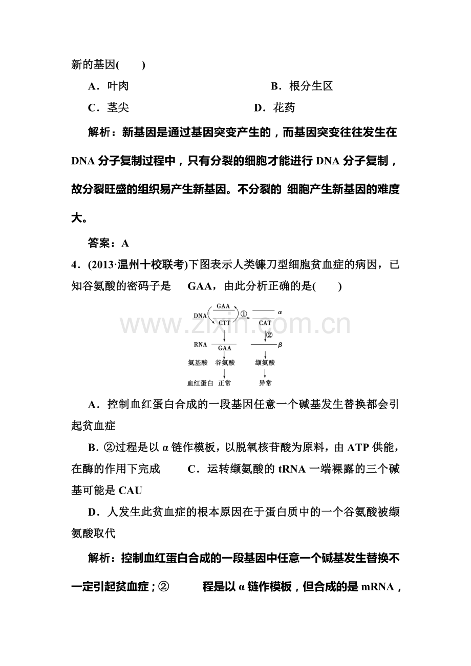 高一生物课时规范复习训练题8.doc_第2页