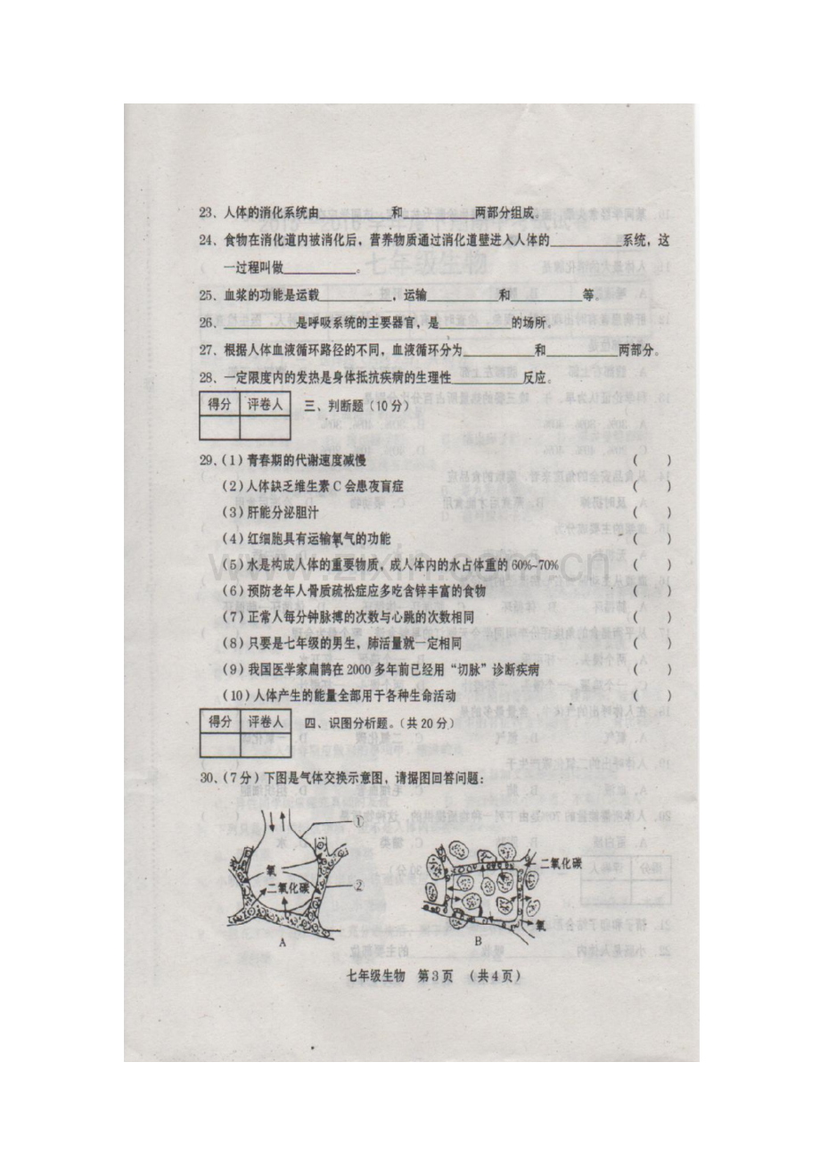 河南省周口市2015-2016学年七年级生物下册期中测试题.doc_第3页