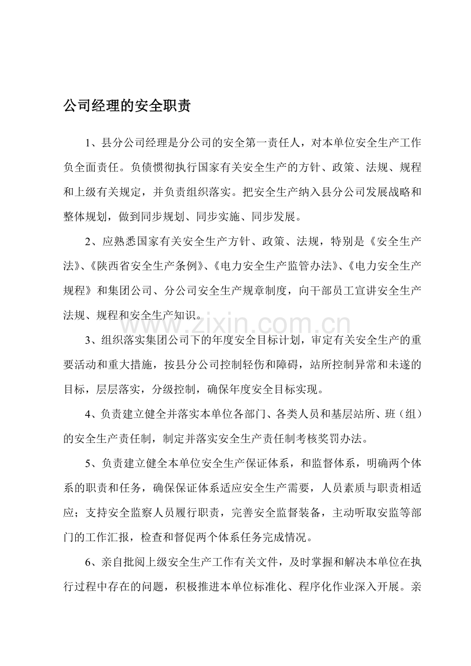 公司经理的安全职责.doc_第1页