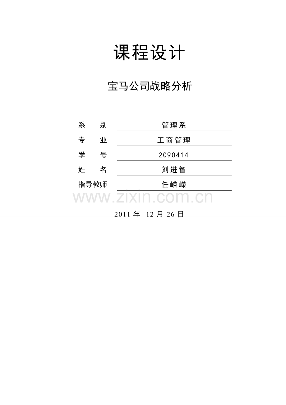 宝马战略分析23.doc_第2页