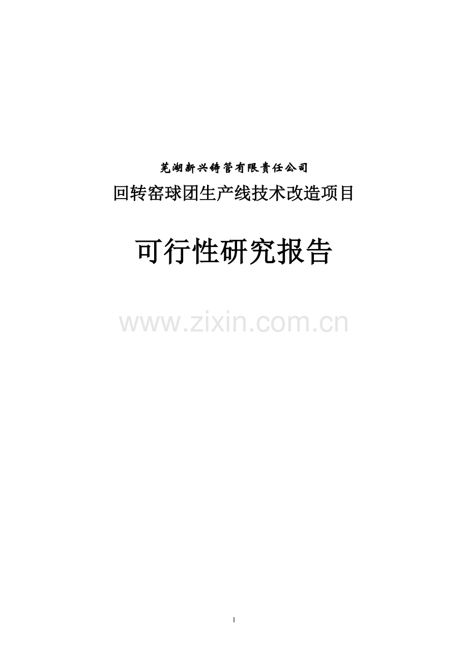 回转窑球团生产线技术改造项目可行性研究报告.doc_第1页