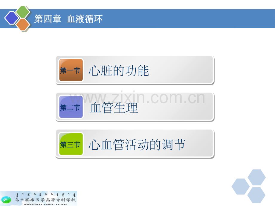 生理学--第四章-血液循环.ppt_第2页