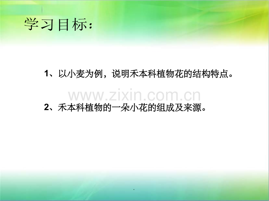 禾本科植物的花.ppt_第2页