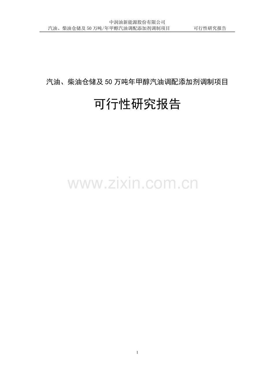 汽油、柴油仓储及50万吨年甲醇汽油调配添加剂调制项目建设可行性研究报告.doc_第1页