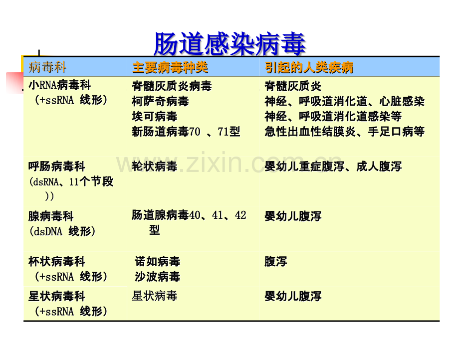 肠道急性胃肠炎病毒.ppt_第2页