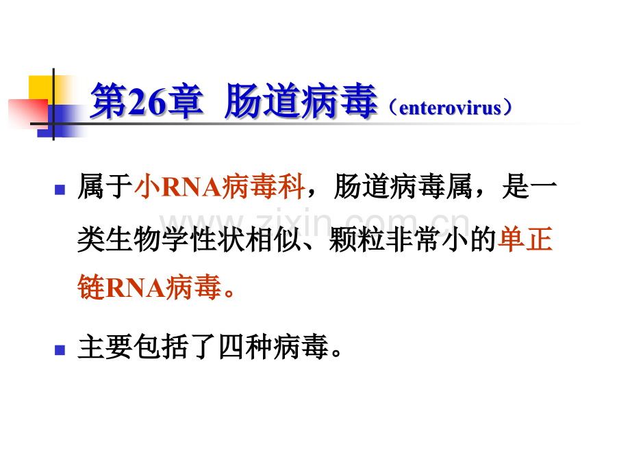 肠道急性胃肠炎病毒.ppt_第3页