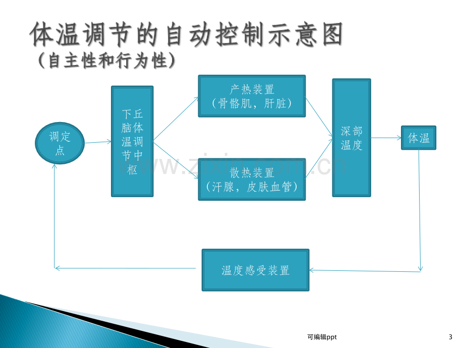 麻醉期间的体温管理.ppt_第3页