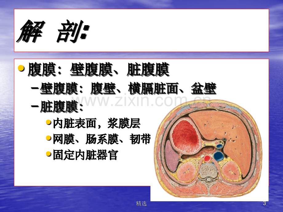 急性腹膜炎1.ppt_第3页