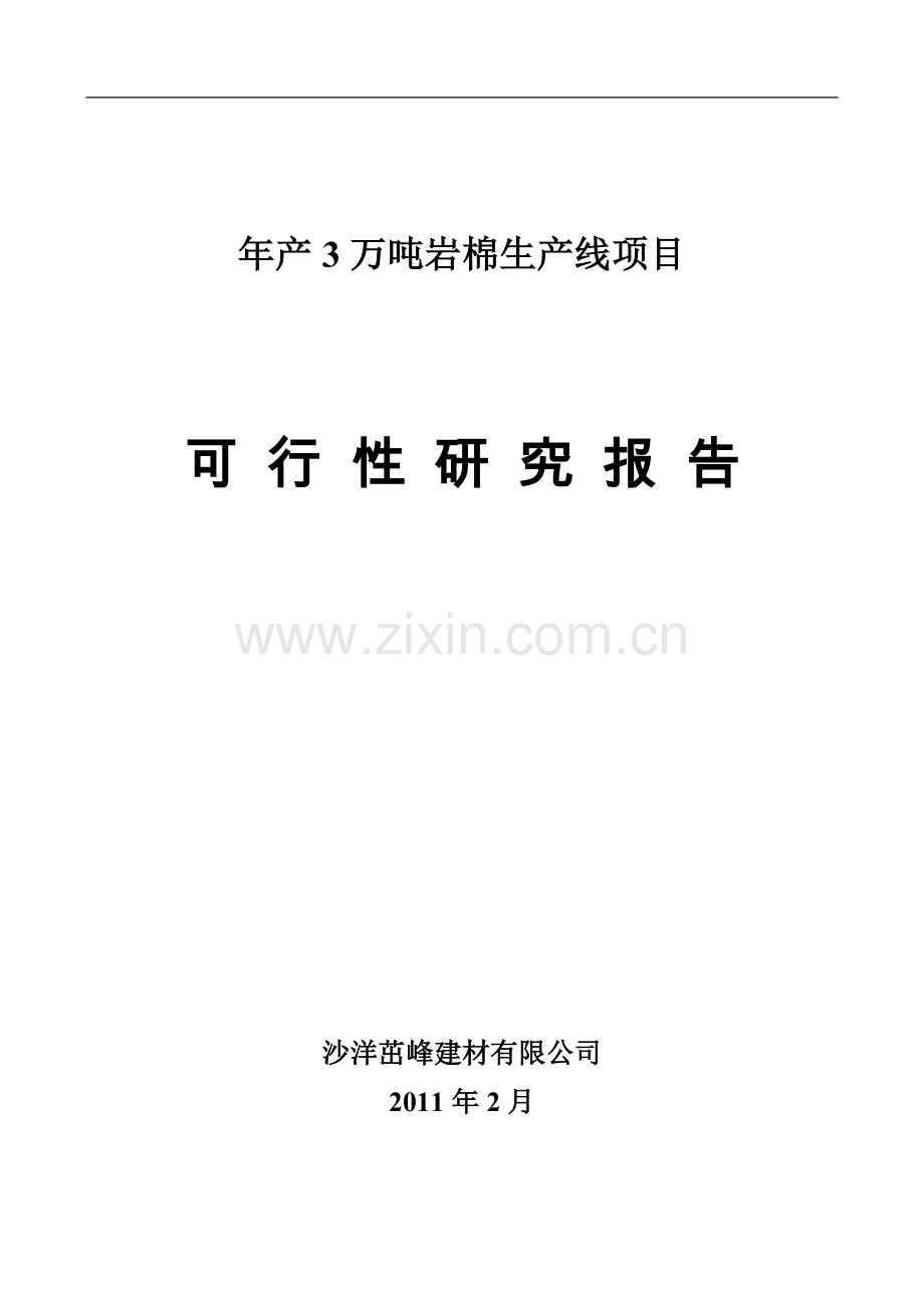 年产3万吨岩棉生产线项目可行性研究报告.doc_第1页