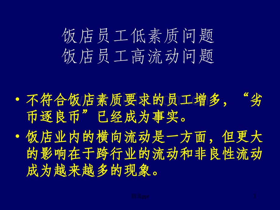 酒店人力资源管理.ppt_第3页