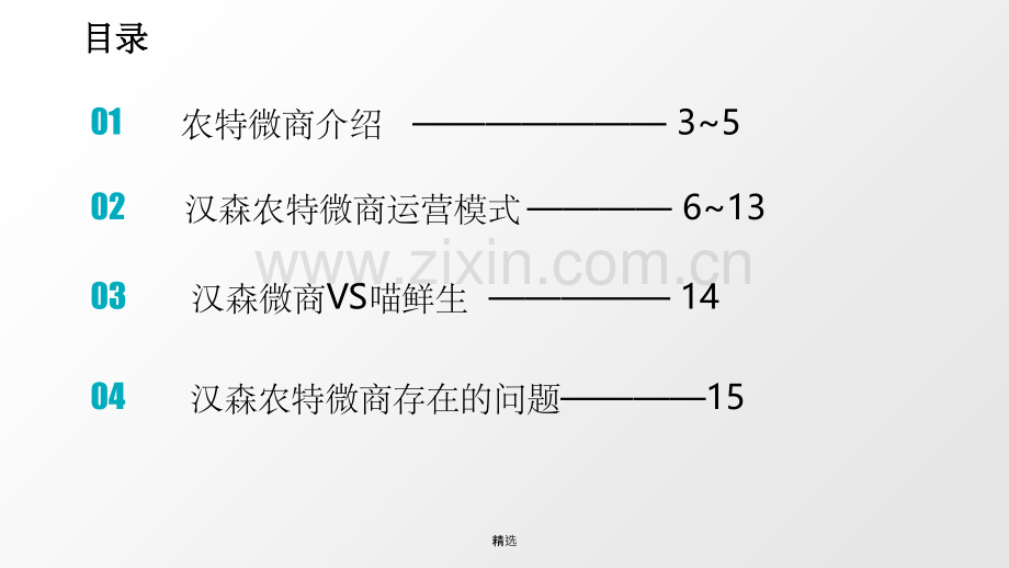 汉森农特微商.ppt_第2页