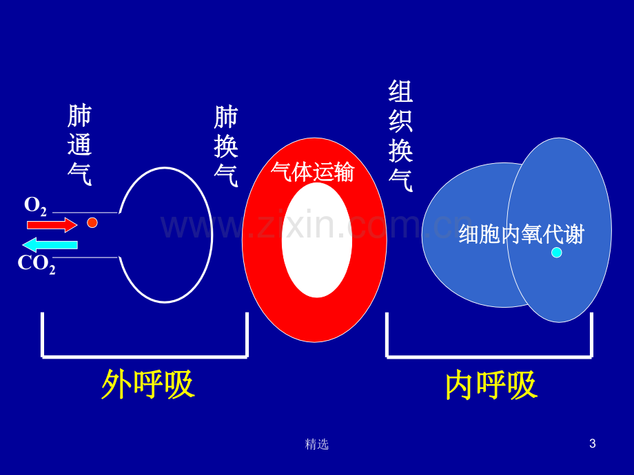 急性呼吸衰竭(新).ppt_第3页