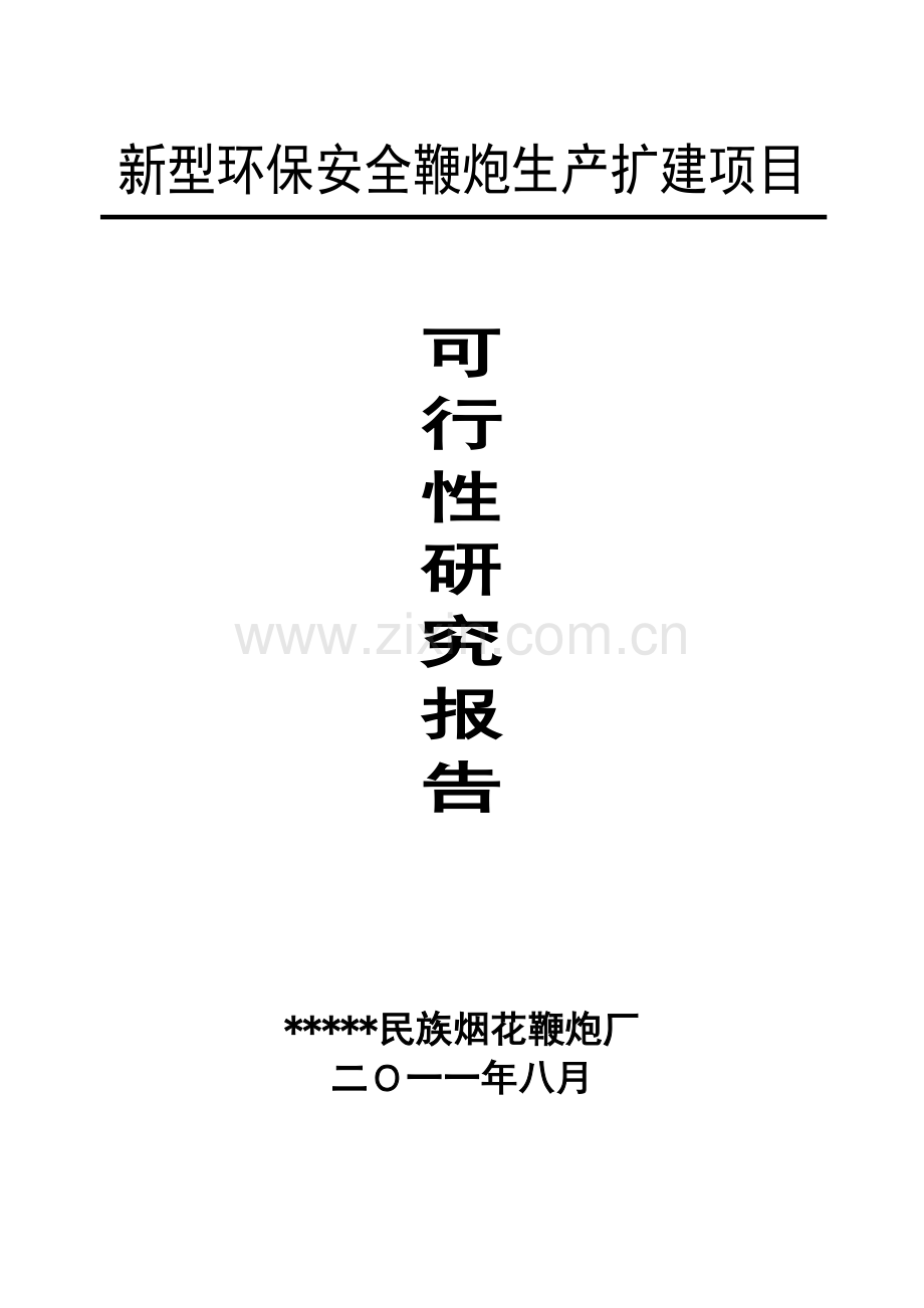 新型环保安全鞭炮生产扩建项目投资可行性研究报告正文终稿.doc_第1页