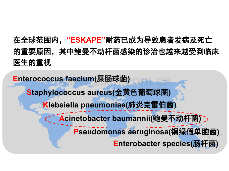 鲍曼不动杆菌专家共识解读.ppt_第2页