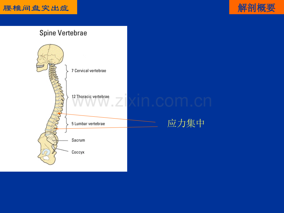 综合保守治疗腰椎间盘突出症.ppt_第3页