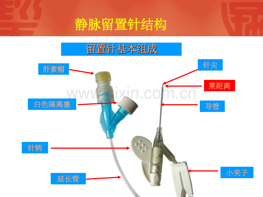 静脉留置针培训PPT课件.ppt_第3页