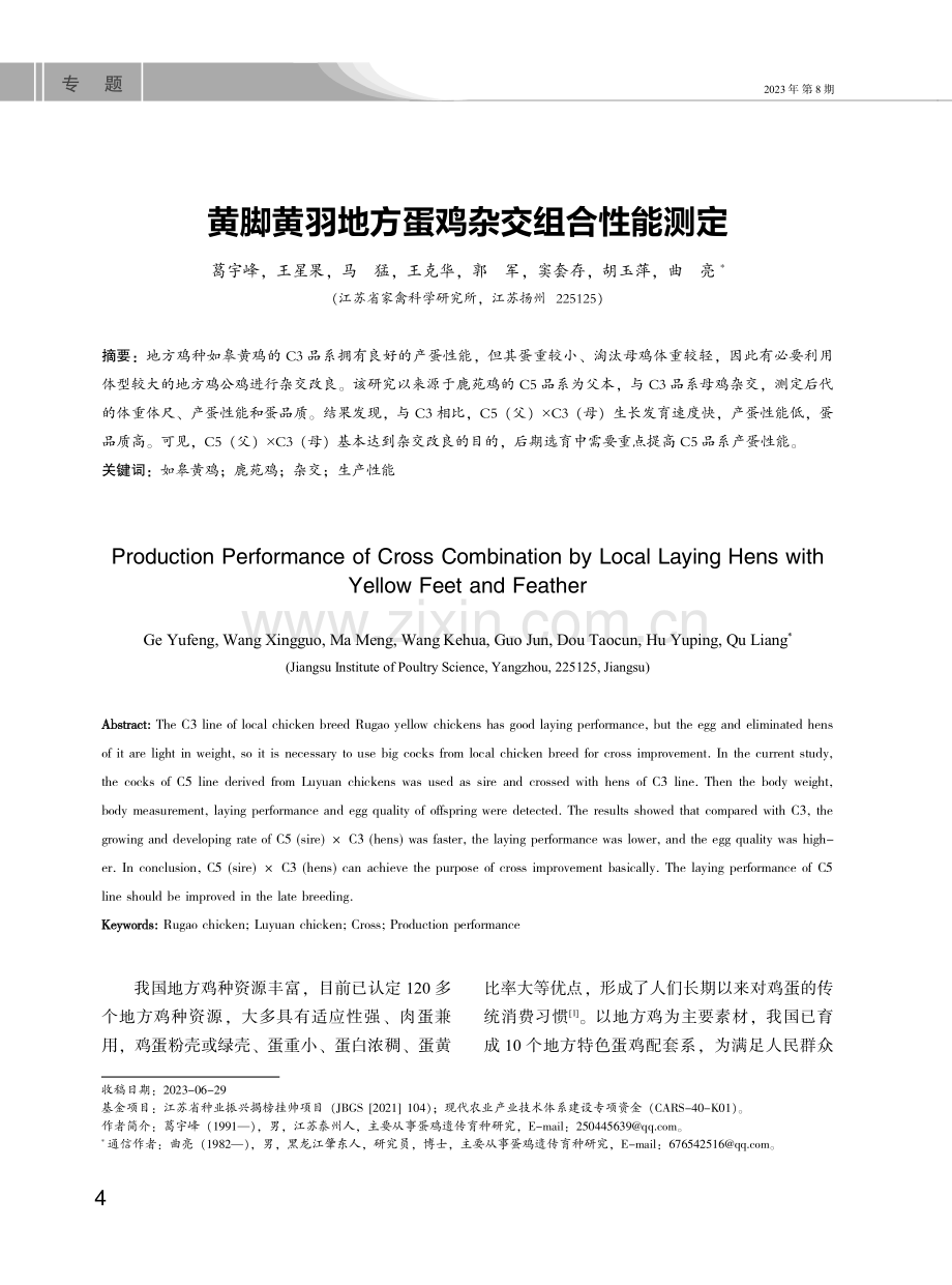 黄脚黄羽地方蛋鸡杂交组合性能测定.pdf_第1页