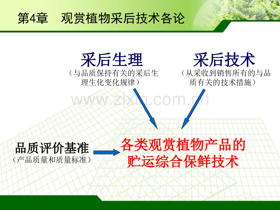 园艺产品贮藏加工.ppt_第2页