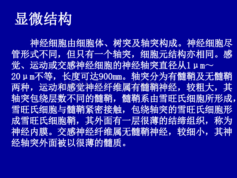 周围神经损伤及诊断治疗新进展医学演示文稿.ppt_第3页