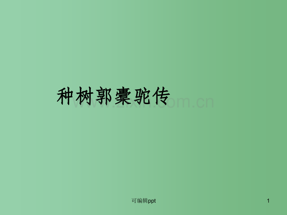 高中语文《种树郭橐驼传》教学-新人教版选修《中国古代诗歌散文欣赏》.ppt_第1页