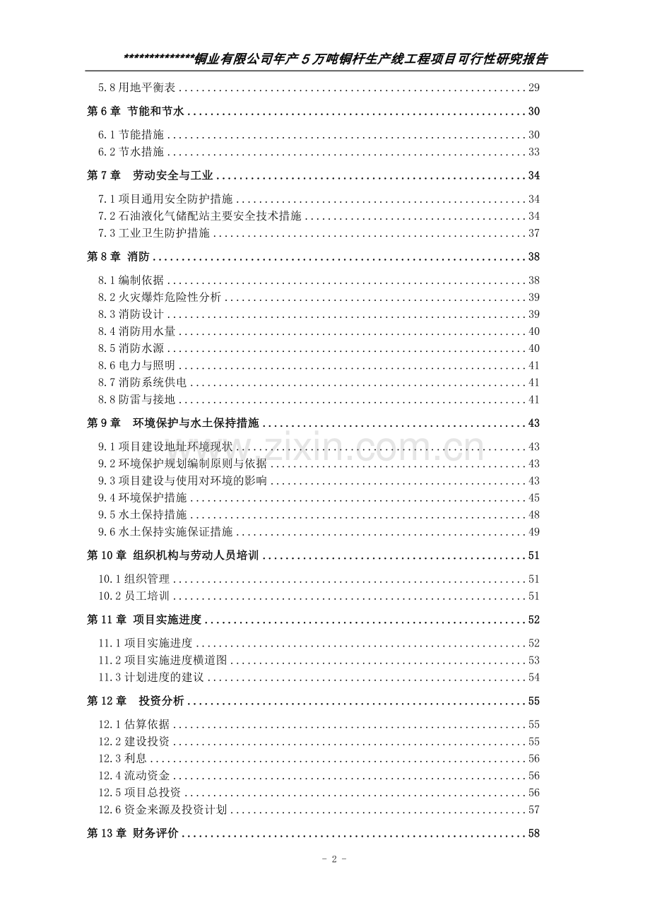 年产5万吨铜杆生产线建设项目可行性研究报告.doc_第2页